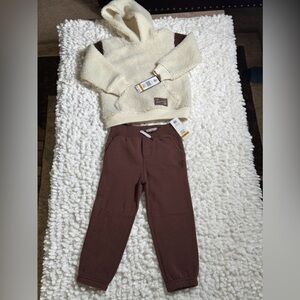 Frye Brown Leggings Soft Knit Bottoms